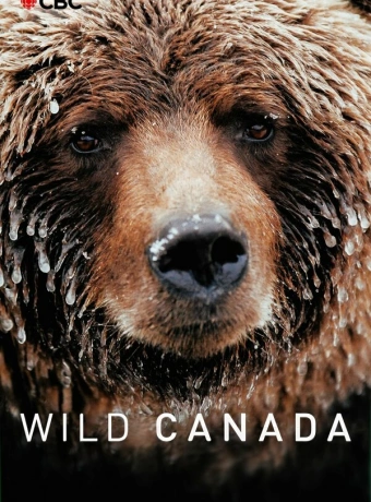 Дикая Канада