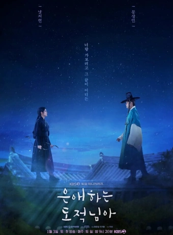 Моя любимая воровка