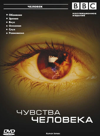 BBC: Чувства человека