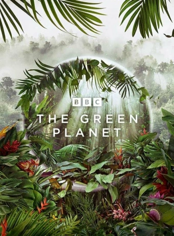 Зелёная планета