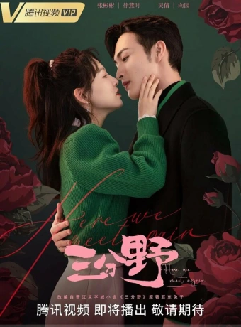 Здесь мы встречаемся вновь