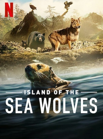 Волки острова Ванкувер