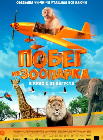 Побег из зоопарка