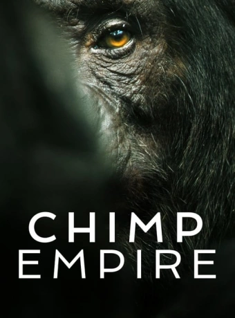 Империя шимпанзе