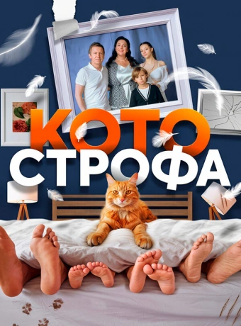 Котострофа