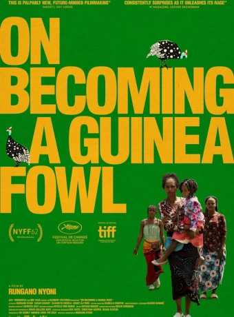 Как я стала птицей