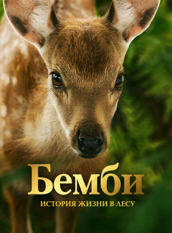 Бемби. История жизни в лесу