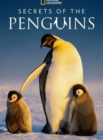 Тайны пингвинов