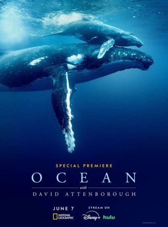 Дэвид Аттенборо: Океан