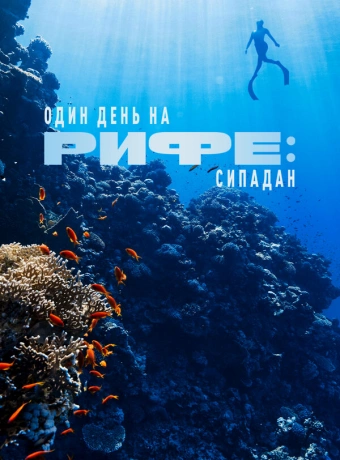 Один день на рифе: Сипадан