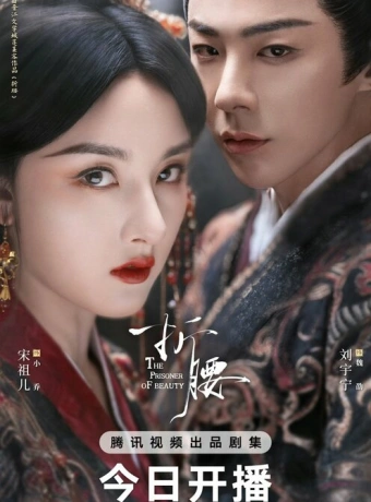 Узник красоты