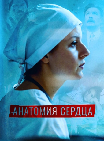 Анатомия сердца