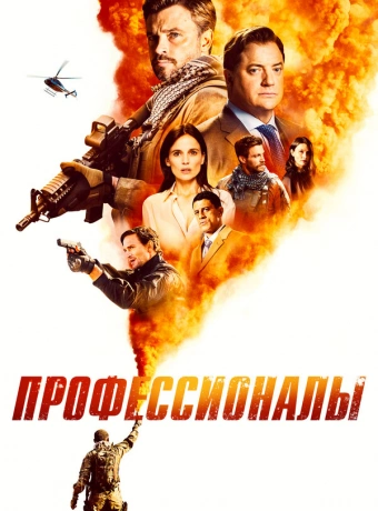 Профессионалы