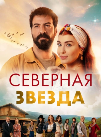 Полярная звезда