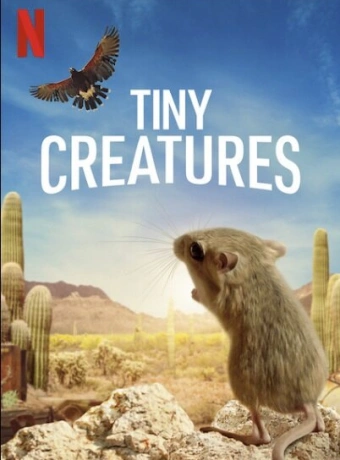 Крошечные существа