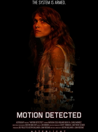 Обнаружено движение