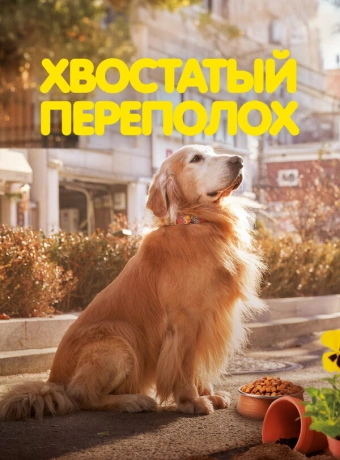 Хвостатый переполох