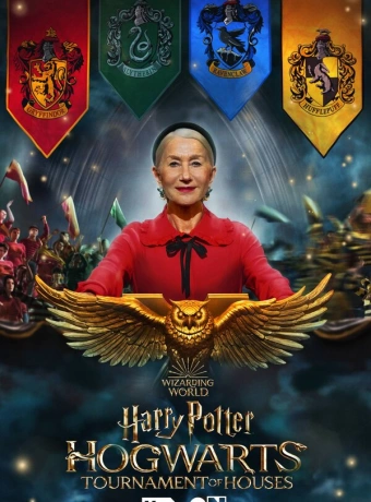 Гарри Поттер: Битва факультетов