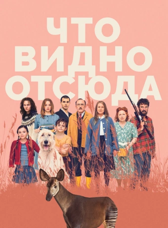 Что видно отсюда