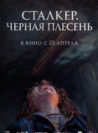 Сталкер. Черная плесень
