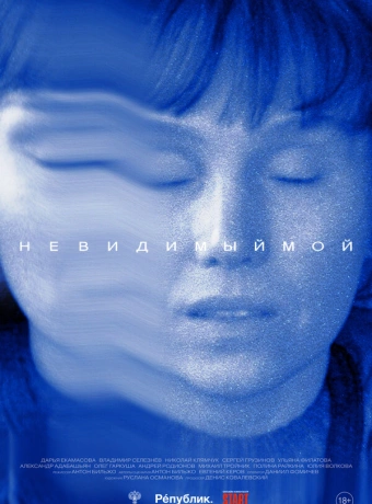 Невидимый мой