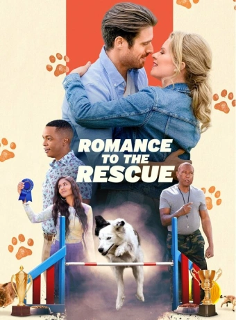 Дрессировка любви