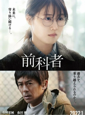 Прошлые судимости