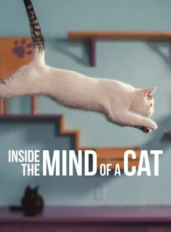 Внутри разума кошки