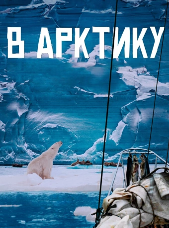 В Арктику