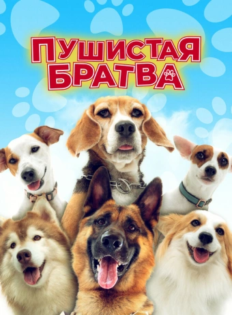 Пушистая братва