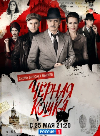 Чёрная кошка