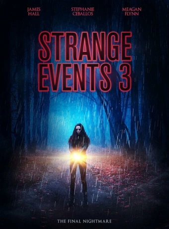 Странные дела 3