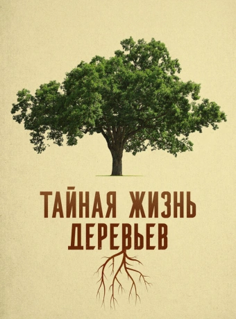 Деревья: гении мира природы