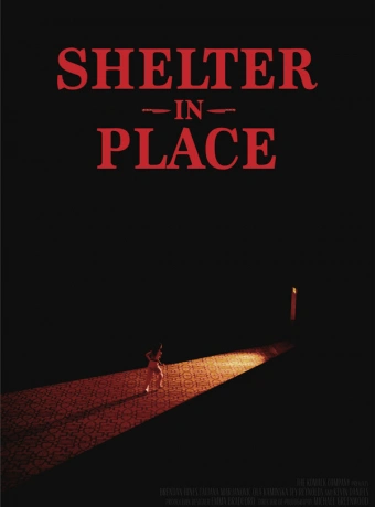 Укрытие на месте