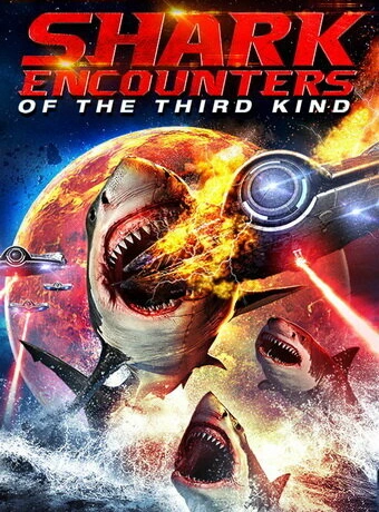 Акульи контакты третьей степени