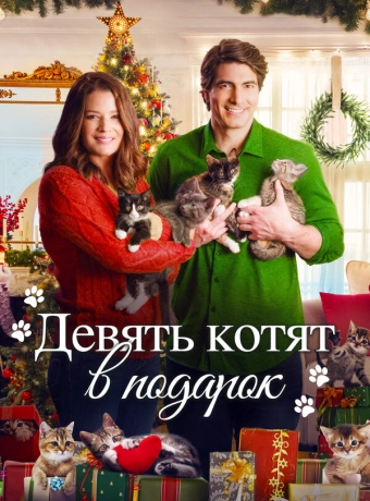 Девять рождественских котят